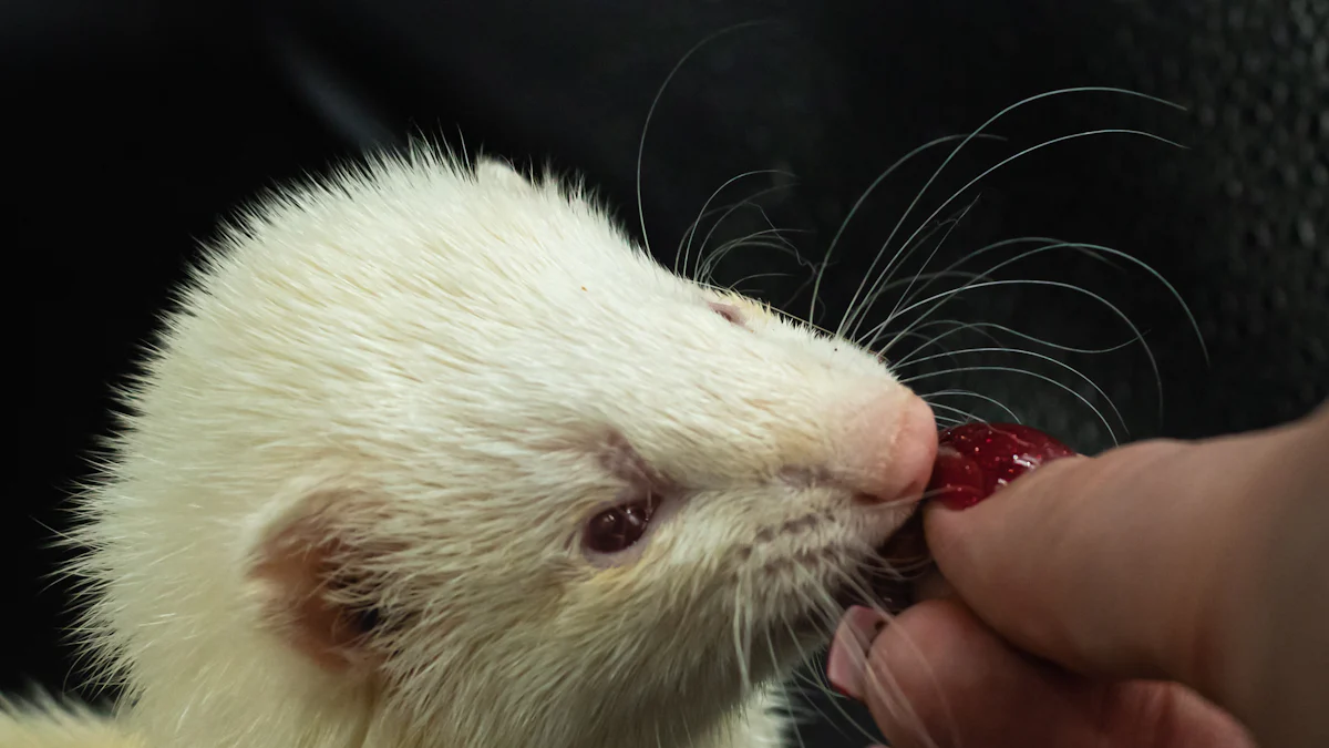 Nutritional Benefits of Mealworms for Ferrets