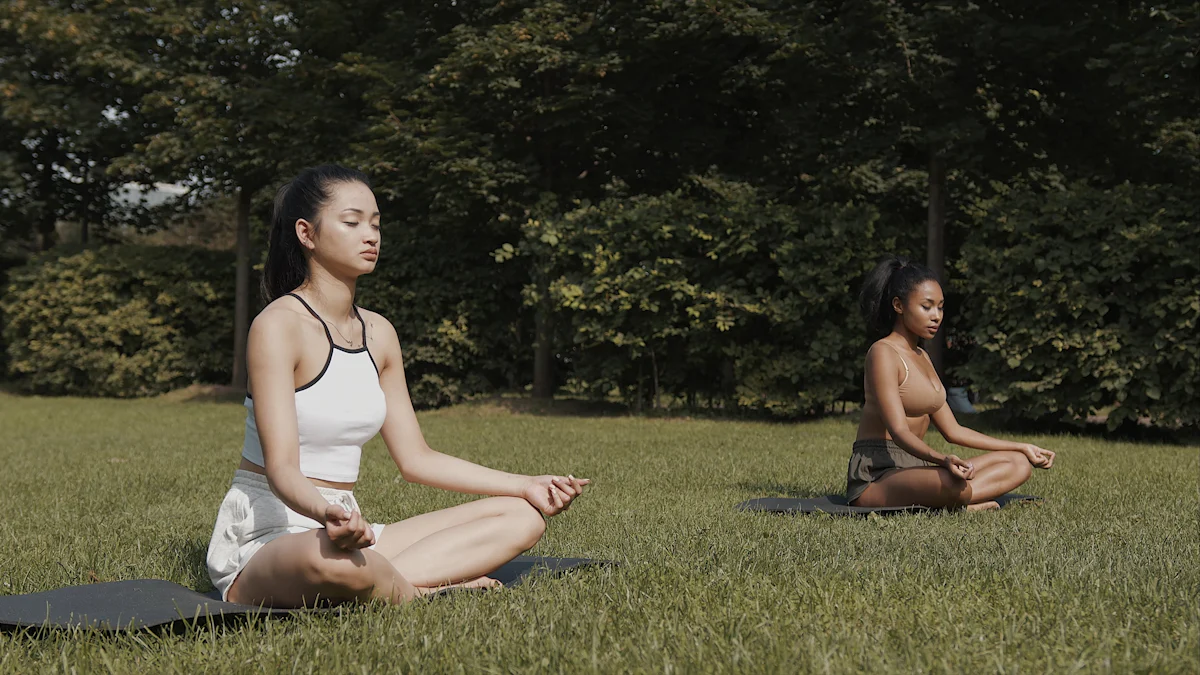 Raja Yoga verstehen: Der Weg zur inneren Meisterschaft