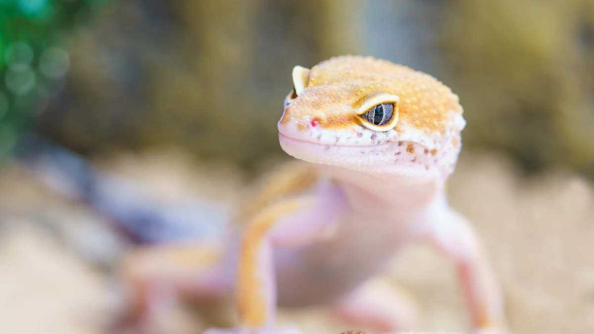 Nutritional Value of Mealworms for Reptiles