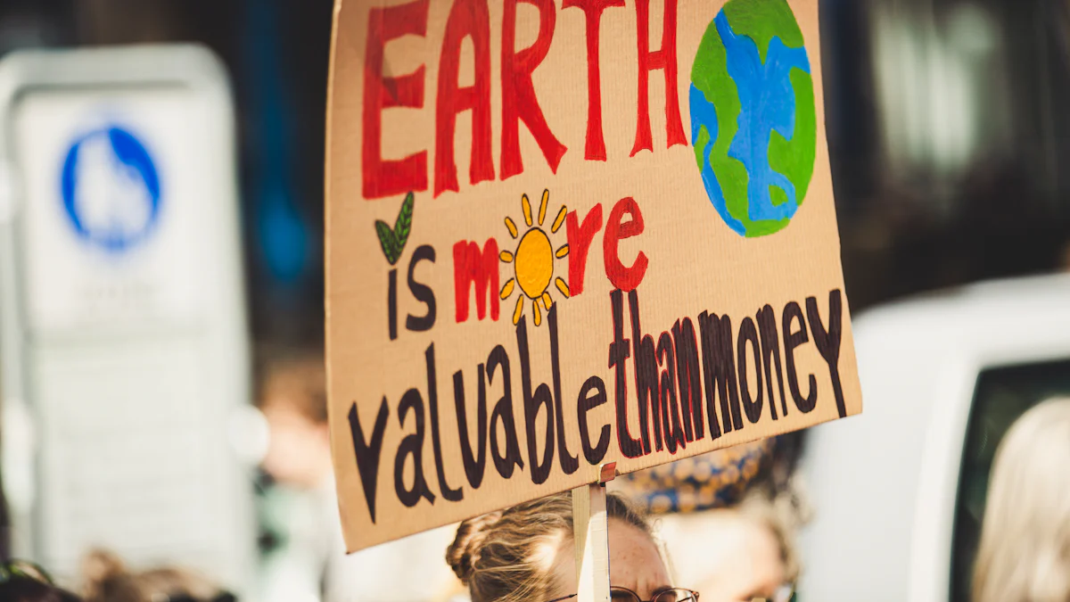 the importance of cheap environmental certification to improve the global environment