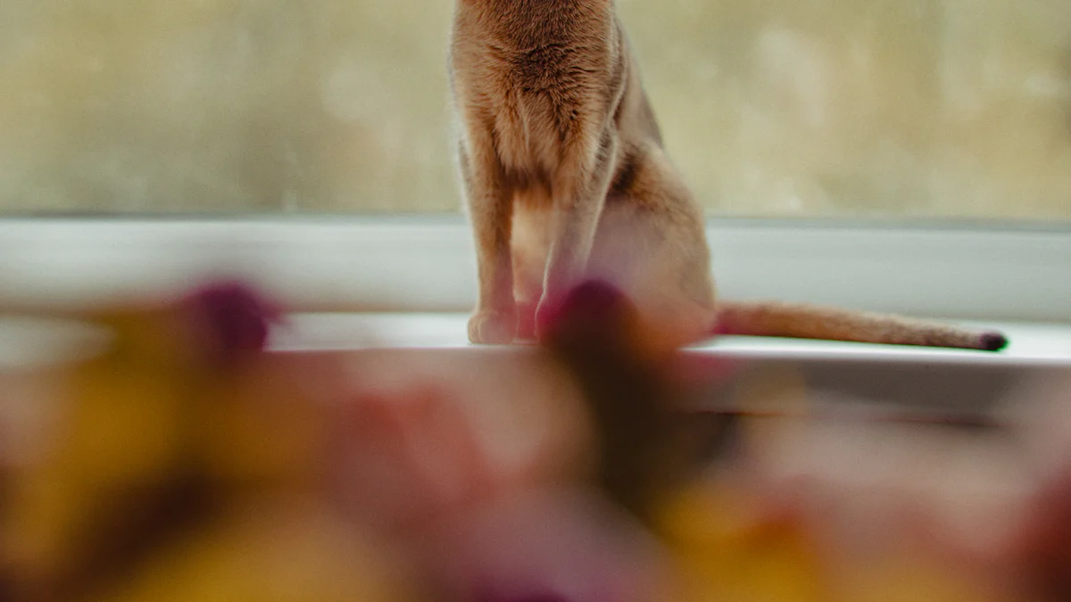 Przykłady osób praktykujących jogę z kotami