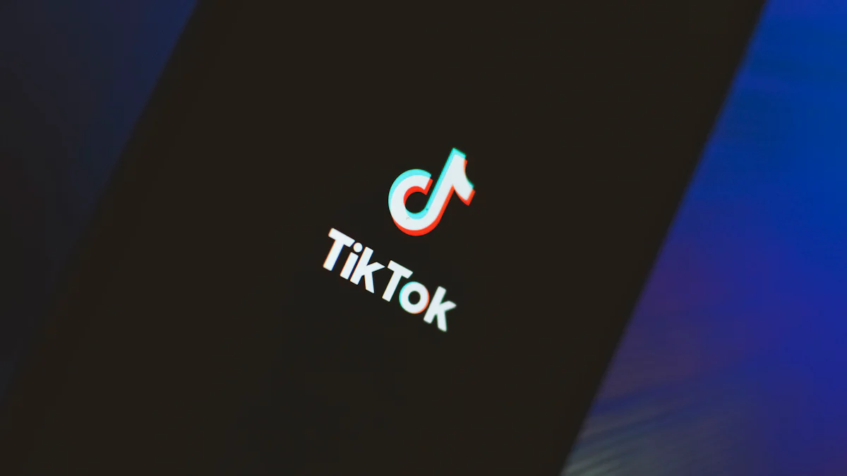Leveraging TikTok 2024 Features