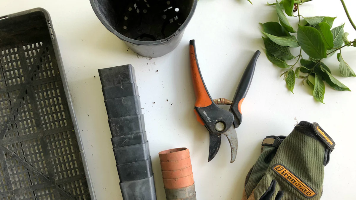 Essential Tools for General Gardening
