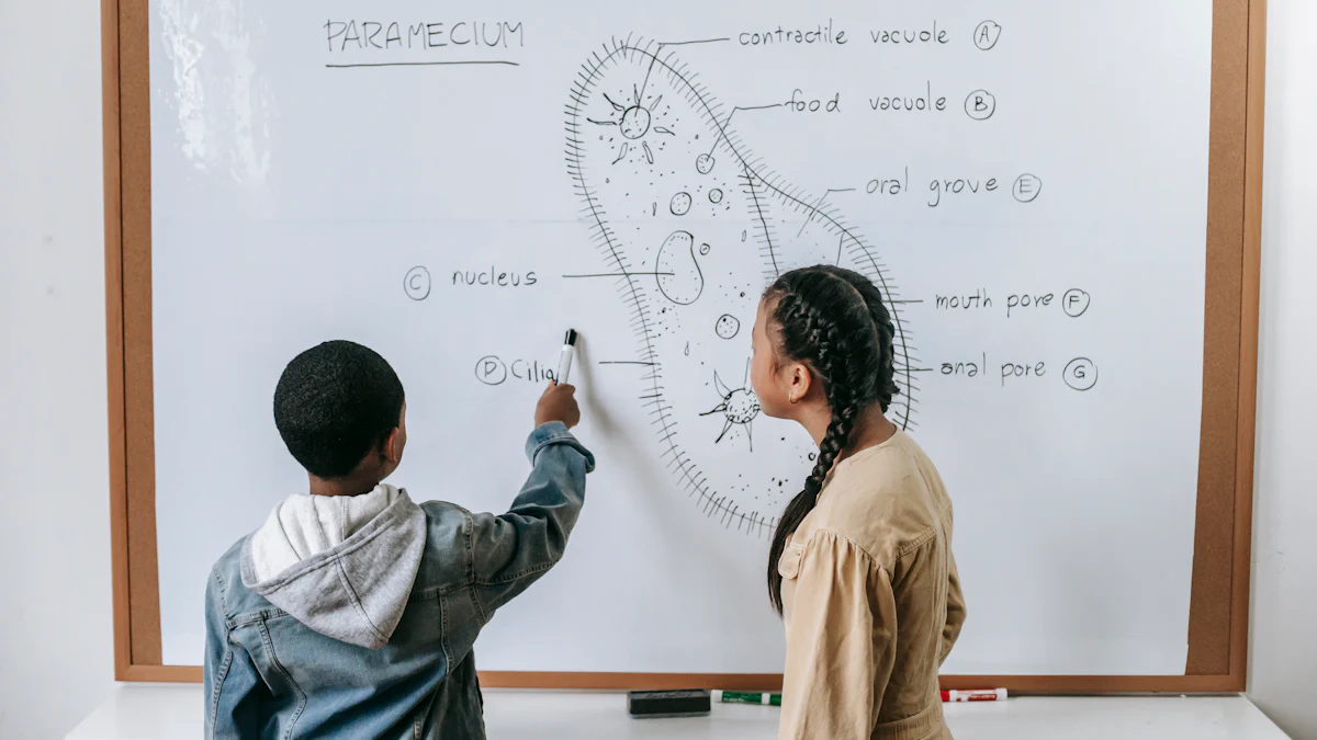 How AI Tools Are Revolutionizing Education