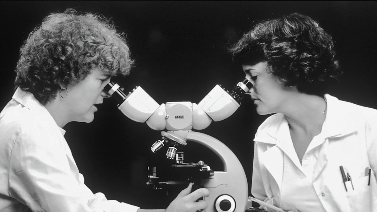 Was sind die häufigsten Krankheiten mit U?