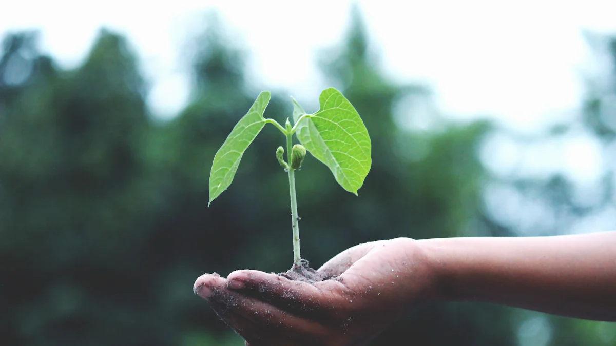 Définition des startups à impact et leur importance