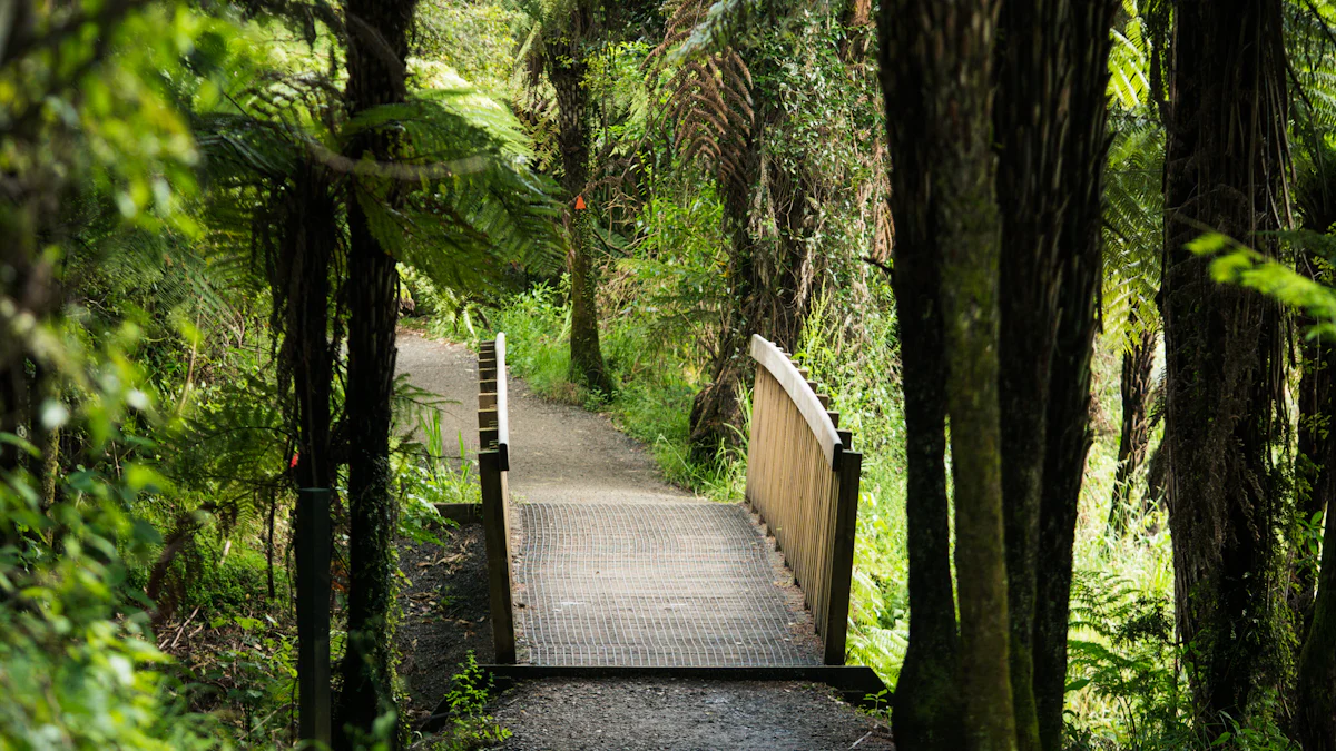 探索罗托鲁瓦与陶波湖的完美旅程