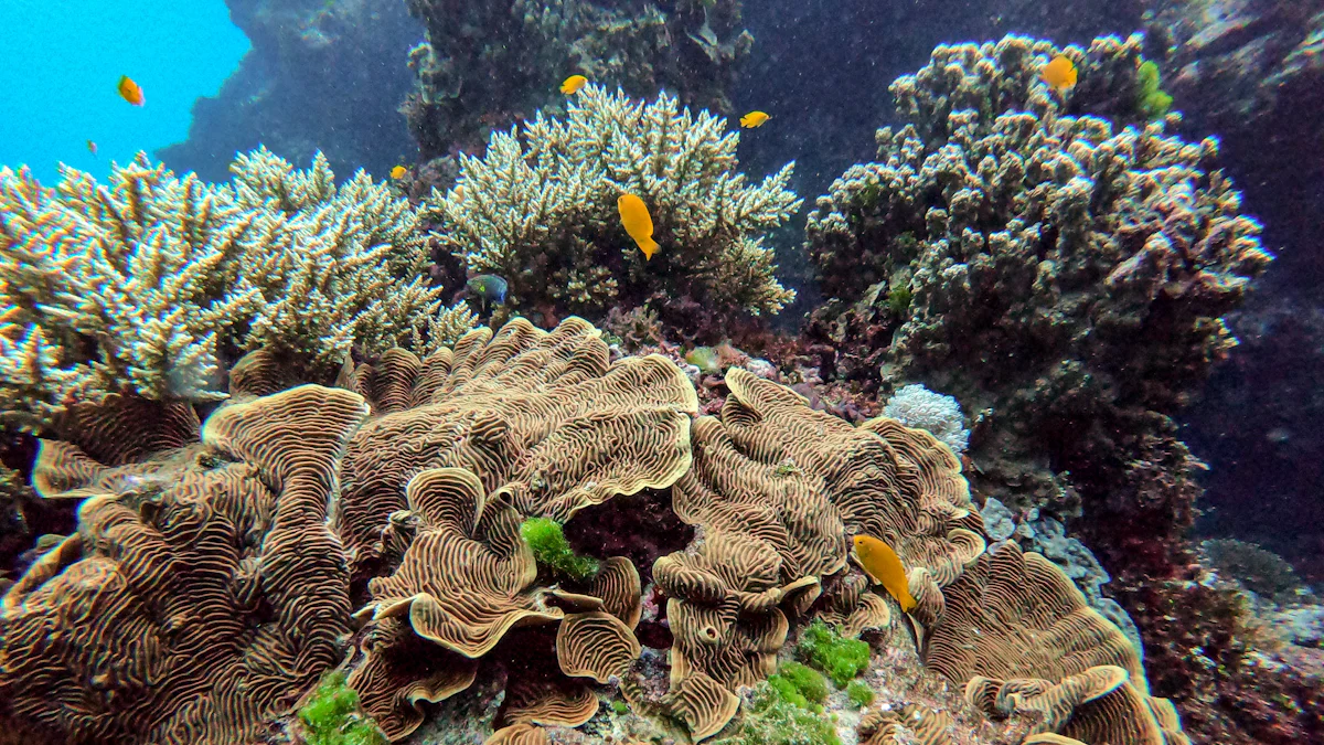 Studio 4: Oxygen Yoga & Fitness Barrie South