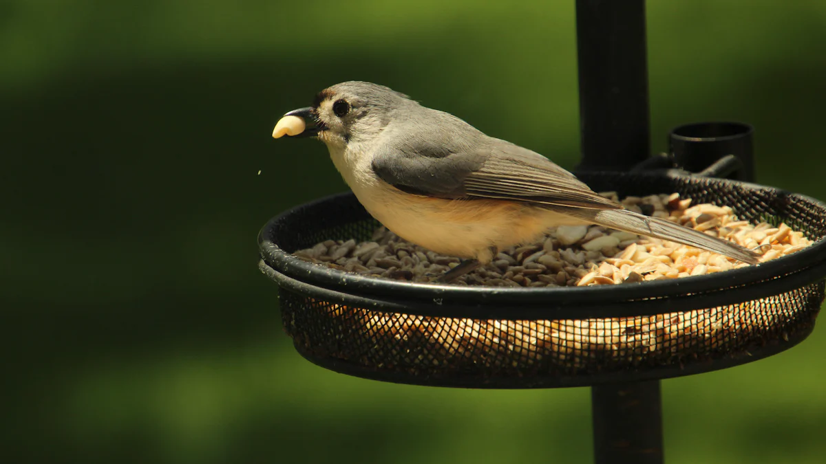 Comparison of Microwave Dried Mealworm For Wild Bird with Other Protein Sources