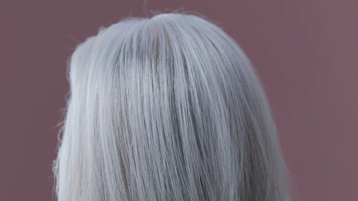 Wig 2: SYMEIW Silver Grey Wavy Headband Wig