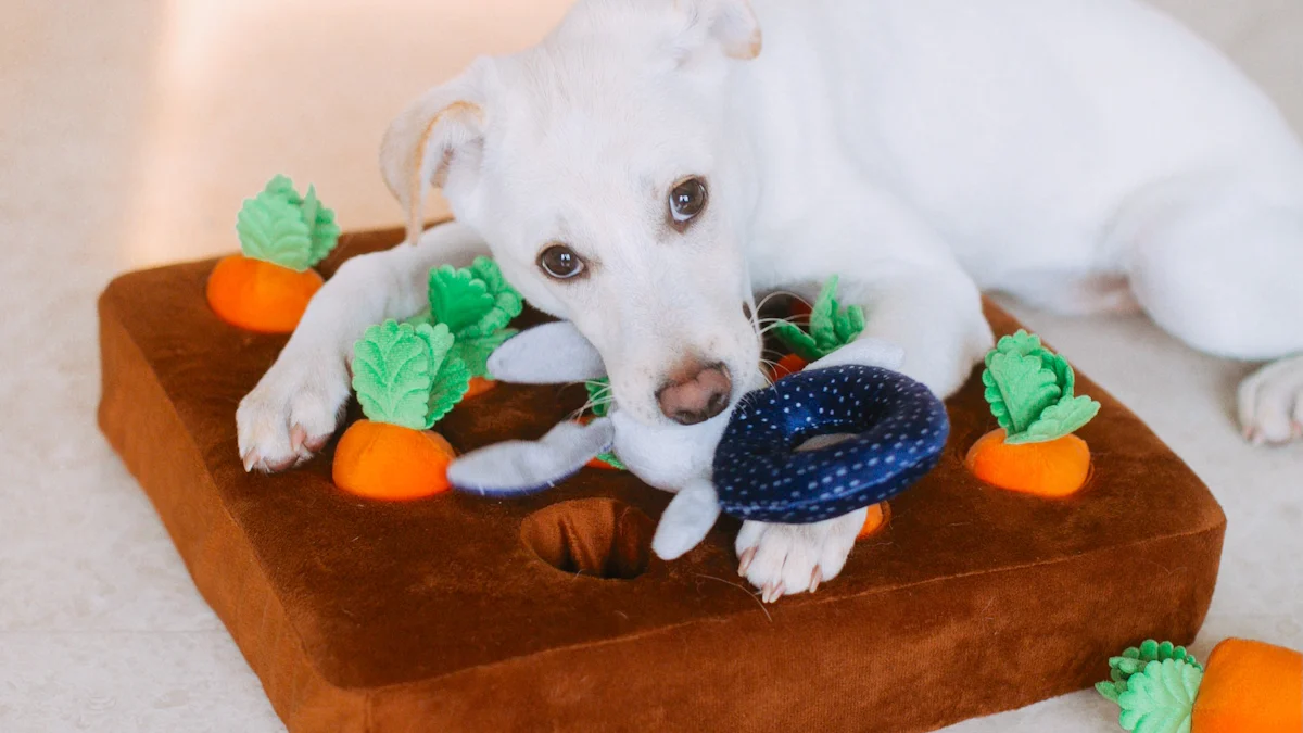 Treat-Dispensing Toys