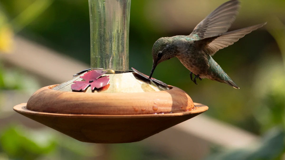 Setting Up Feeders