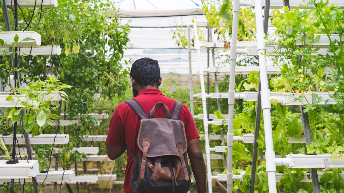 clean hydroponic system