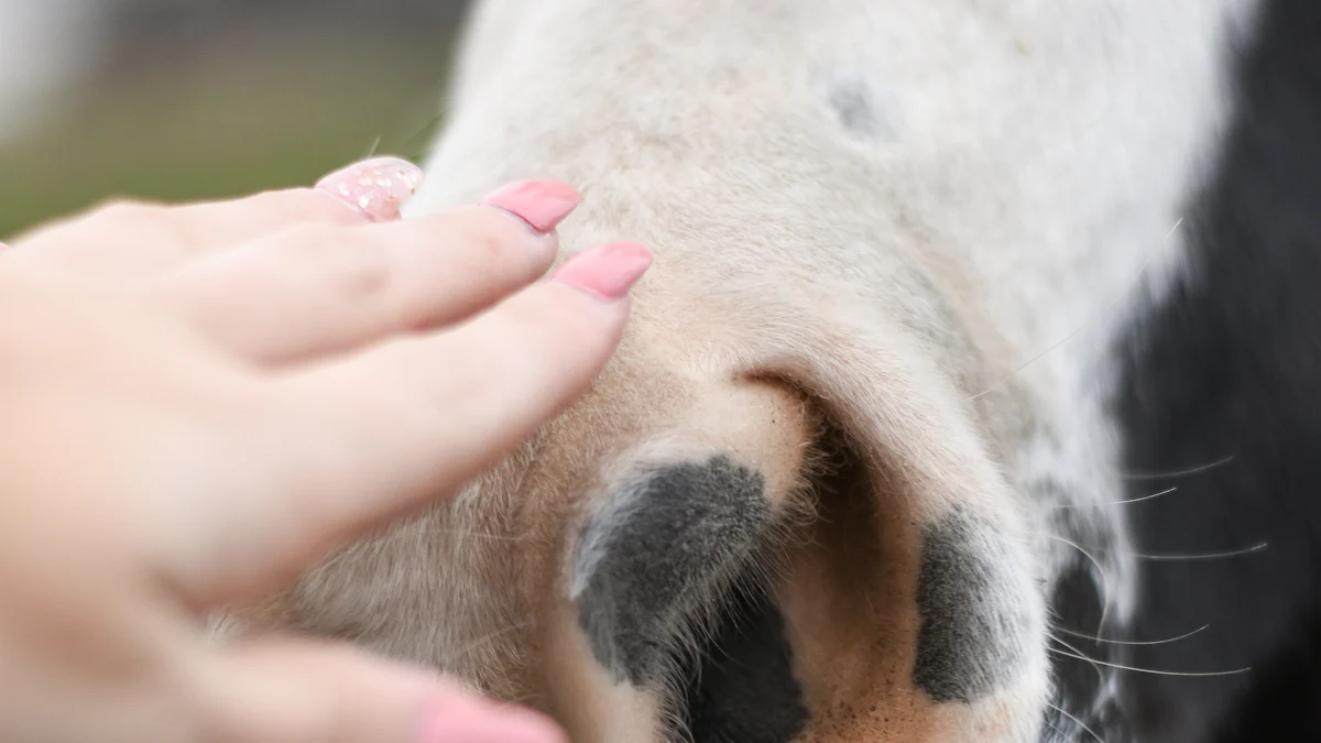 The Joy of Puppy Interaction