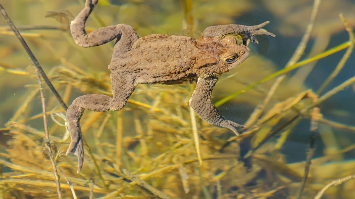 Frog Eating Mealworm: Best Food Choices Compared