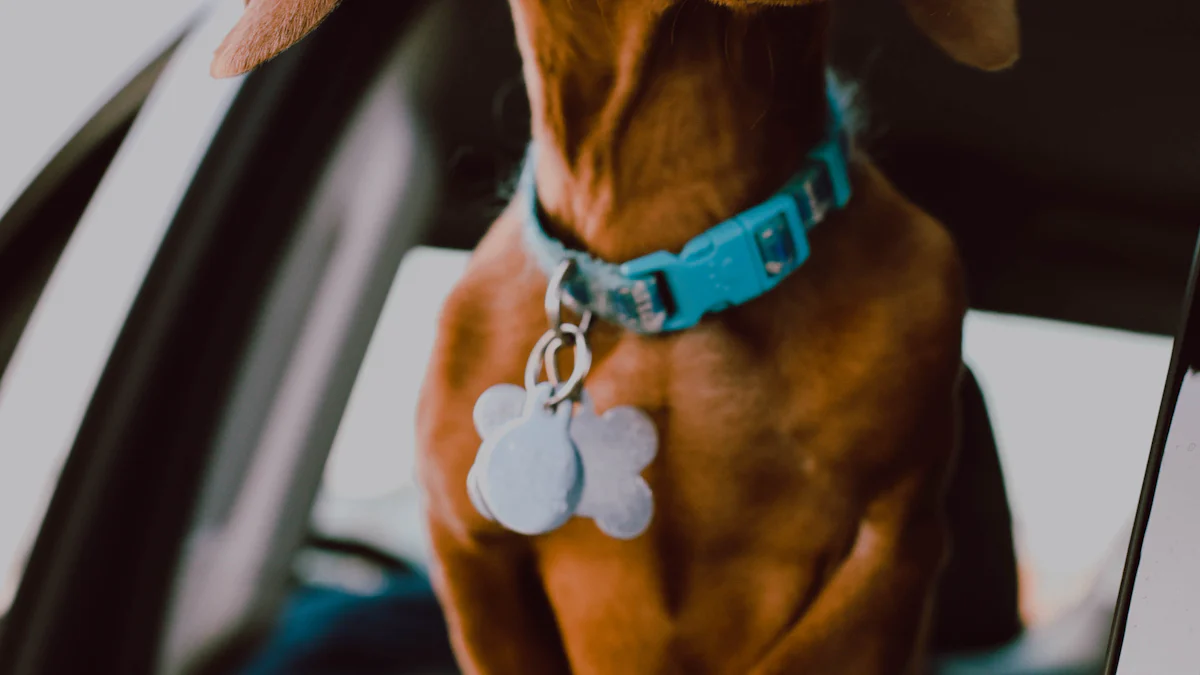 Beureum Dingo stainless steel & Glitter Enamel Heart Dog Tag