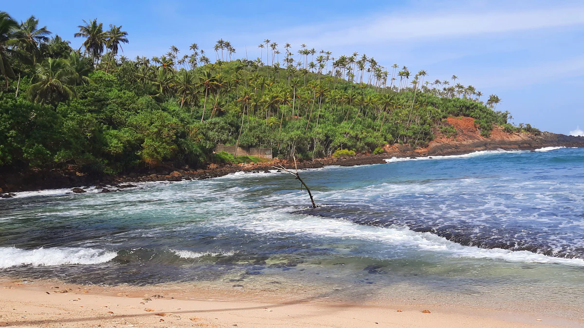 A Mixed Experience at Sri Yoga Shala Unawatuna