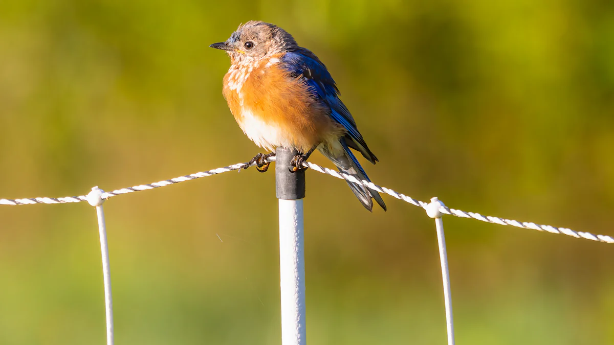 Discover the Best Mealworms for Birds