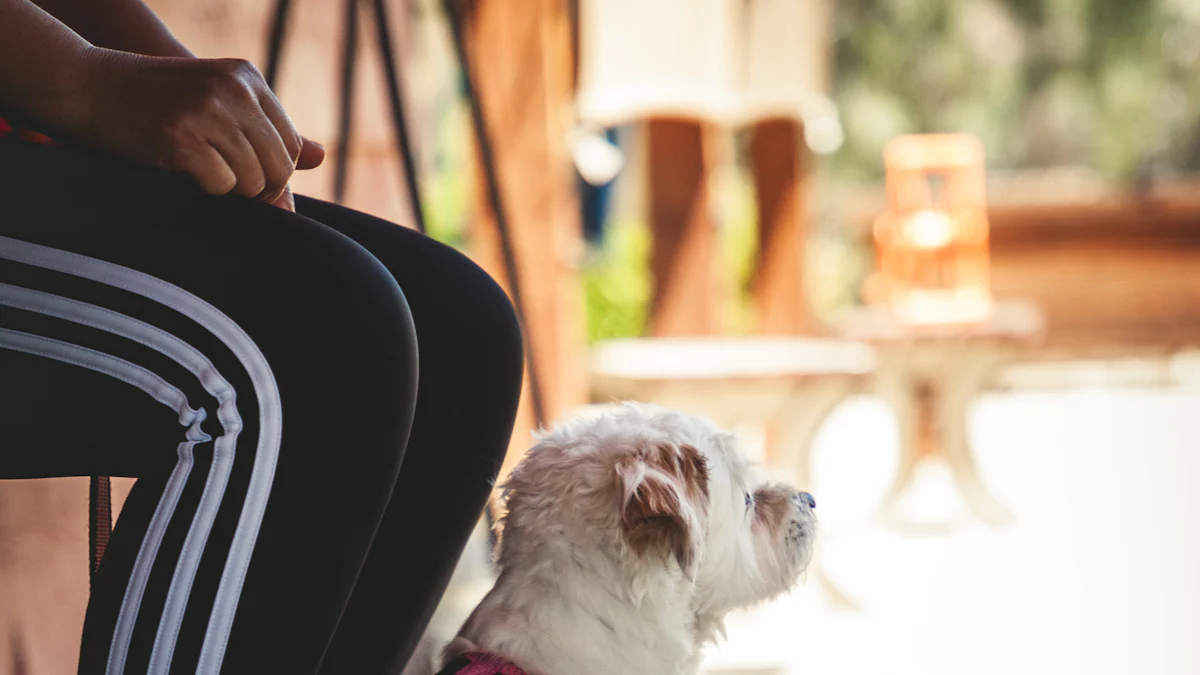 Yoga mit Hunden: Einfache Schritte zur Praxis