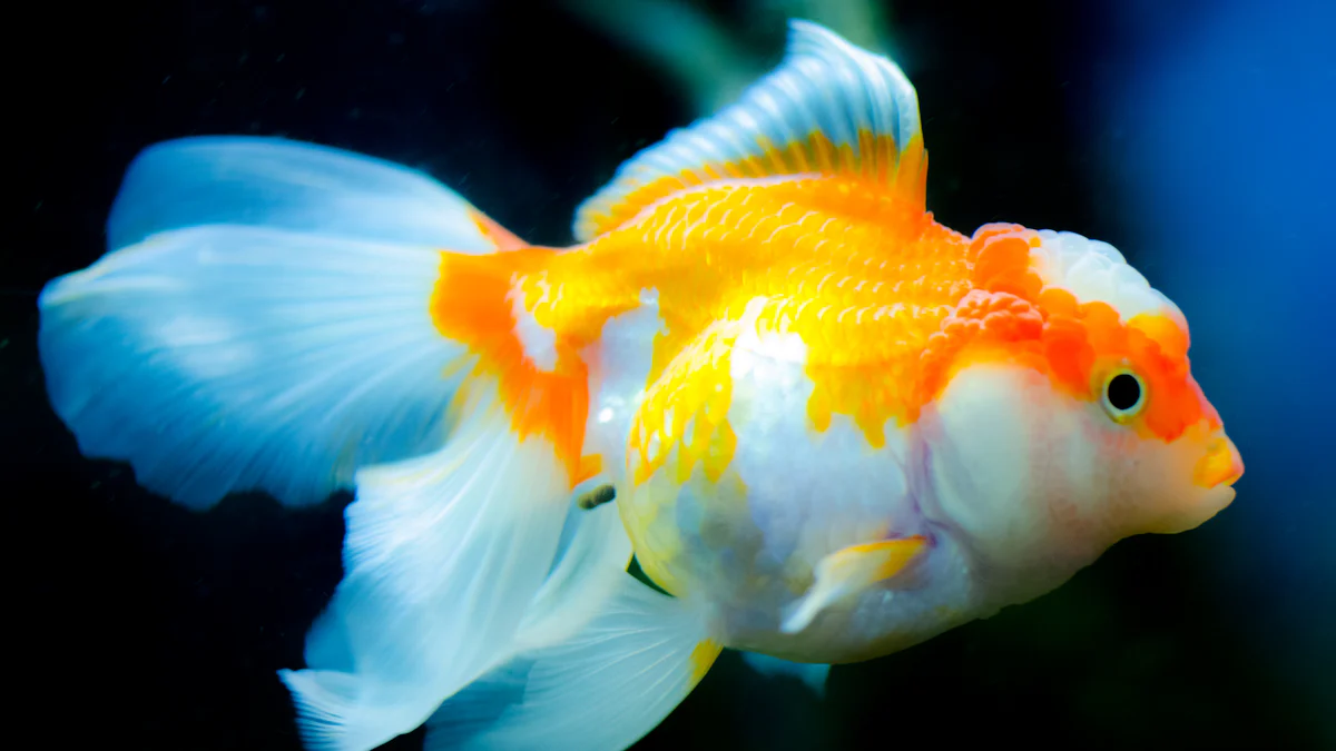 Are mealworms good for goldfish插图2 How to Feed Mealworms to Goldfish Safely