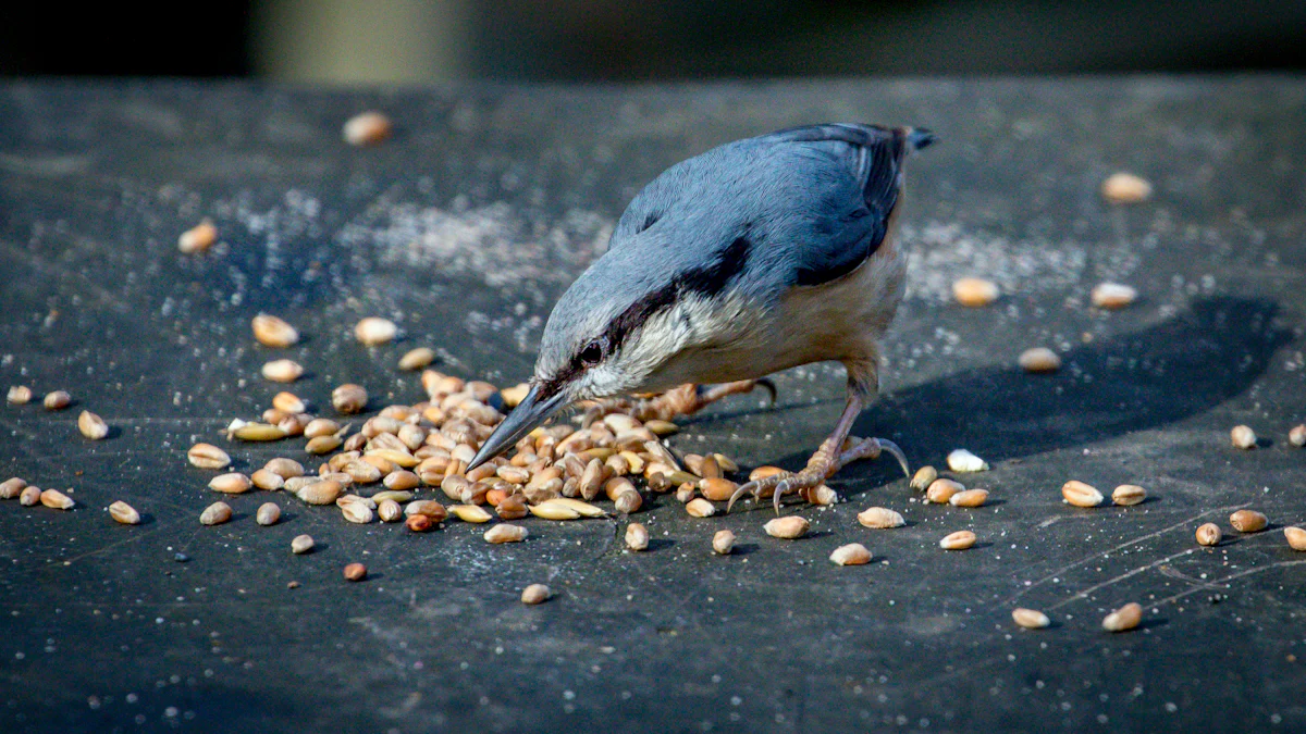 The Nutritional Benefits of Dried Mealworms in Bulk for Garden Birds