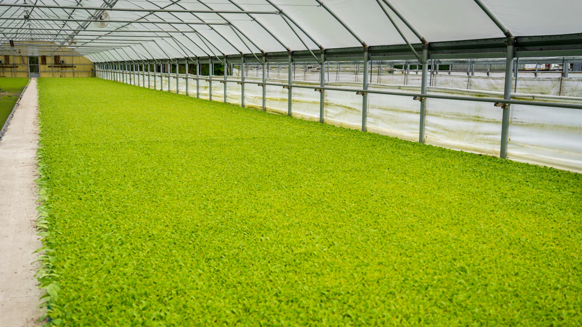 À quoi s'attendre chez Green Harvest Hydroponics