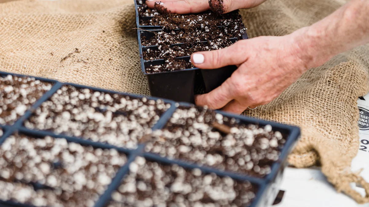 Biodegradable Mushroom Tray ECO in the Context of 2025