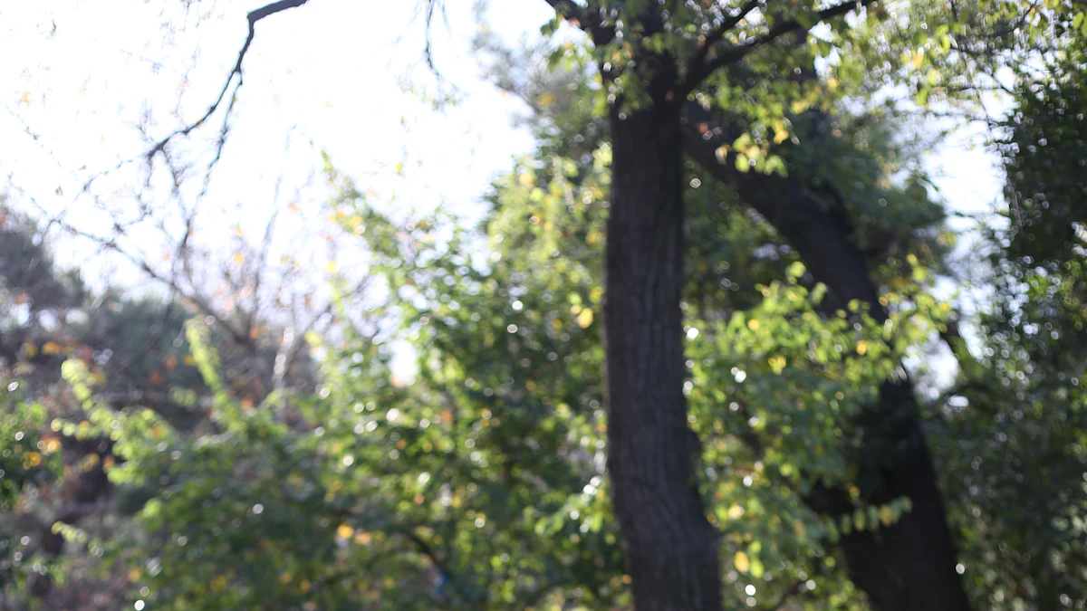 Häufige Fehler und Missverständnisse