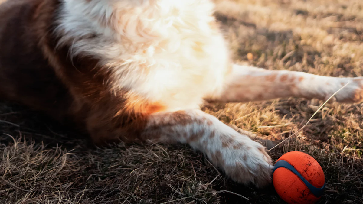 Najbolji izbor za izdržljive igračke za žvakanje Dog Stick