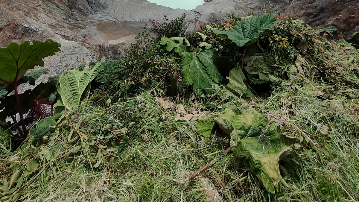 Development of Tantra Yoga Practices