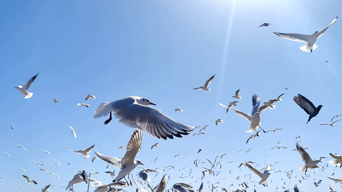 Understanding How Birds Achieve Flight