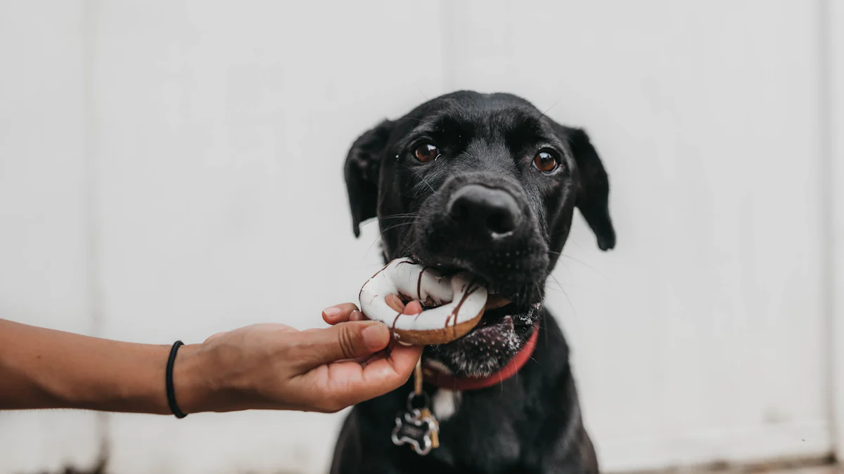 Why Freeze Mealworms Are Perfect for Pet Nutrition