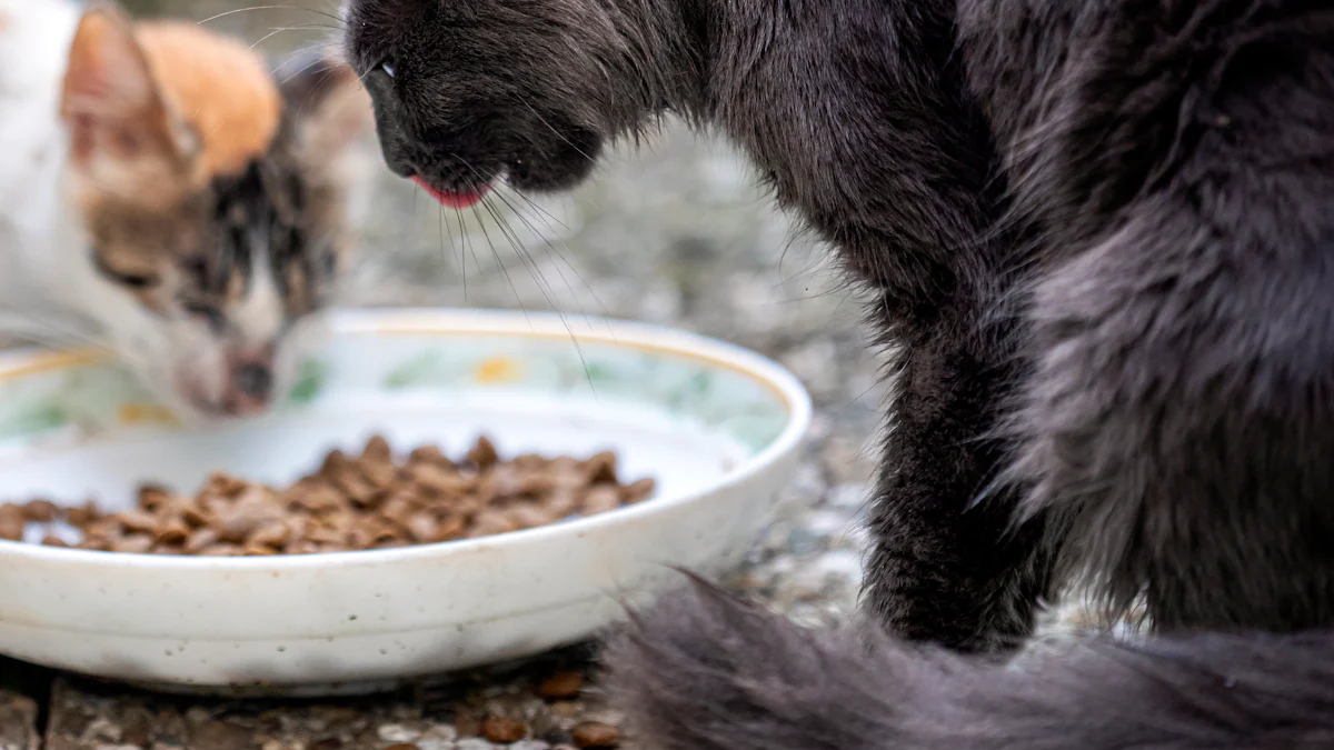 The Best Cat Bowls for Comfort and Convenience