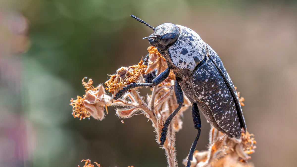 Why Dried Mealworms Are Perfect for Pet Nutrition