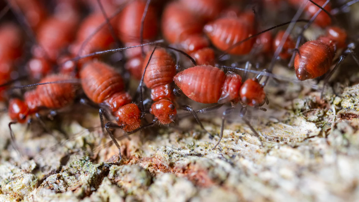 How to Incorporate Dry Roasted Mealworms into Your Diet