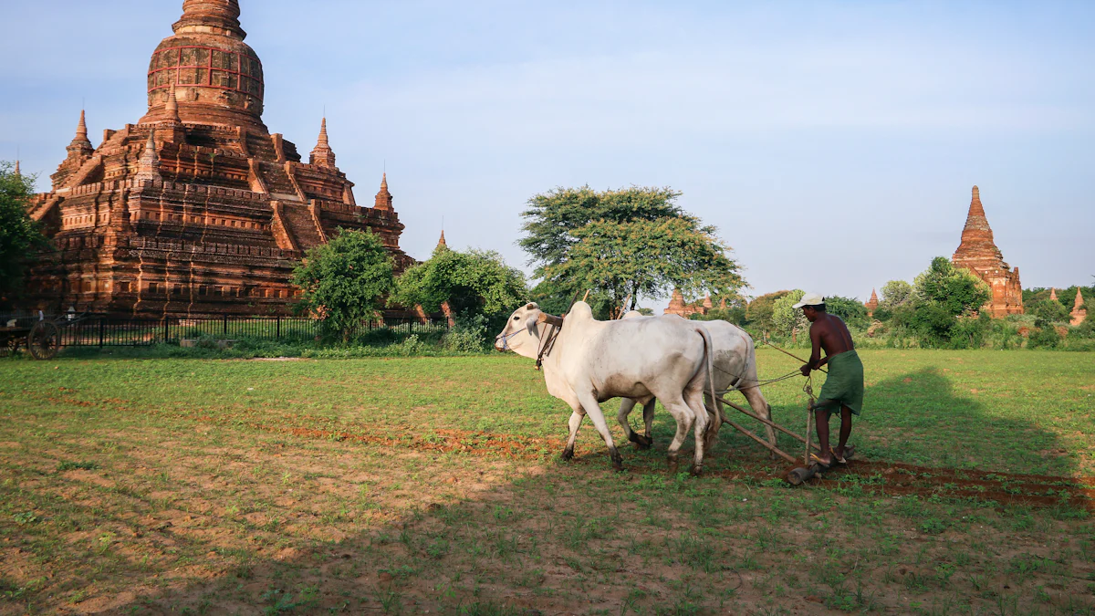 Jak zorganizować podróż jogi do Birmy