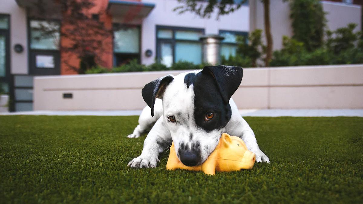 MU GROUP Pet Toys vs. Nylabone: Kyakkyawan Zabi ga Dabbar ku