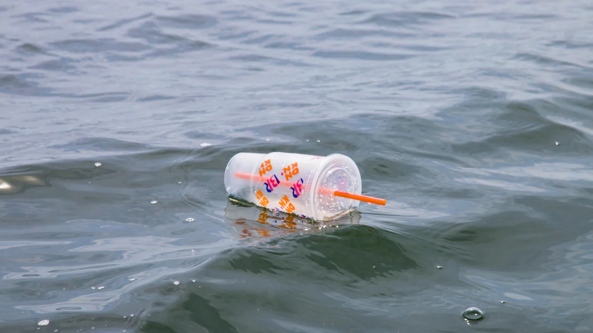 What Makes PET Plastic a Popular Choice for Packaging