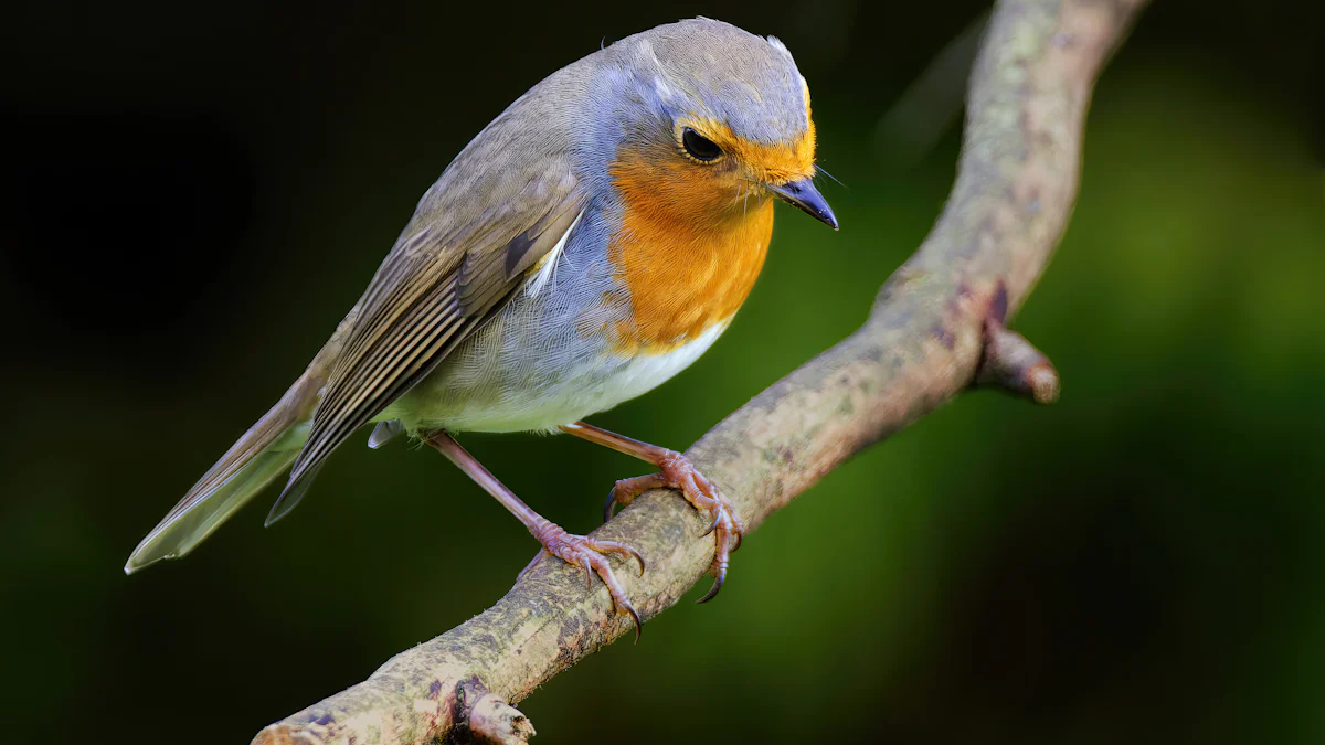 Exploring the Digestibility and Nutritional Value of Mealworms for Bird Health