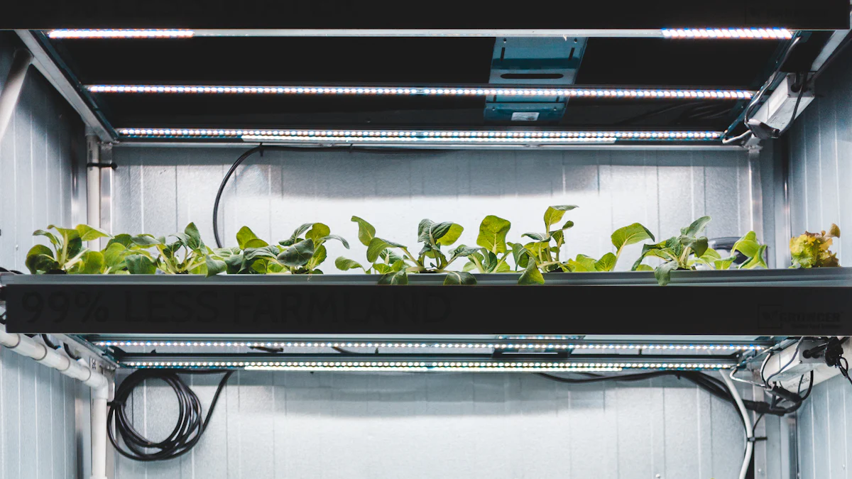 Die 10 besten DWC-Hydroponik-Systemsets im Test