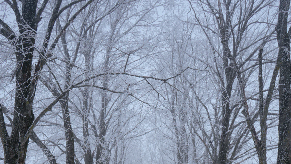 Snowgolow Yoga: Descubra a Magia dos Vídeos