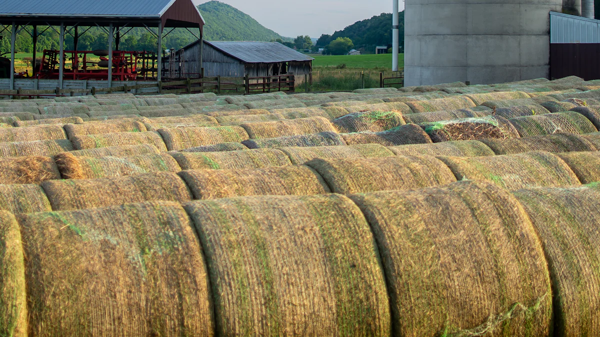 Cara Menggunakan Alat Pengukur Kelembaban untuk Pengawetan Gandum