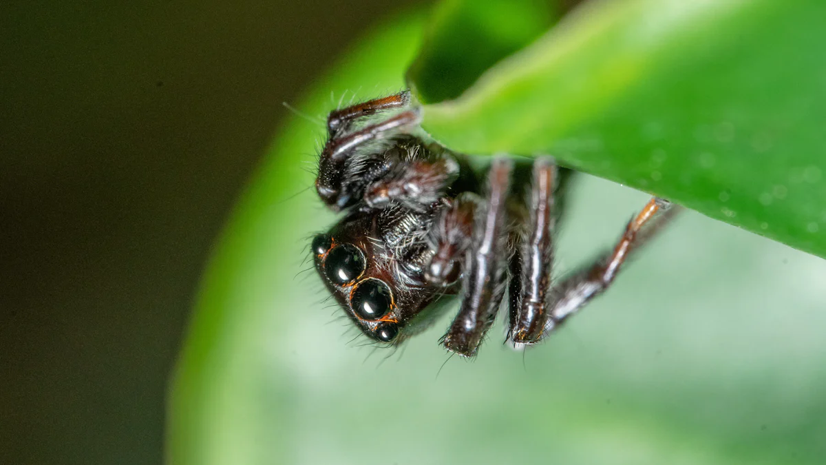 What Are the Benefits of Mealworms in Gardening?