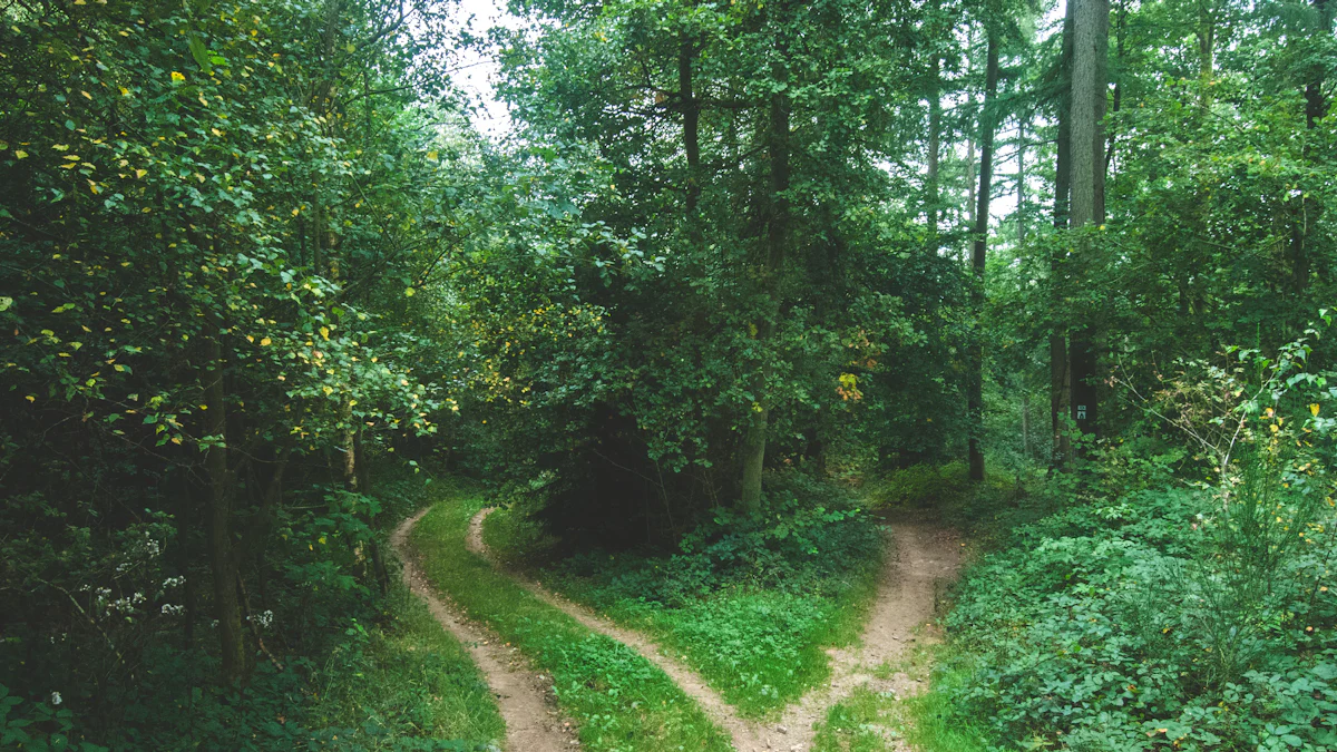 What Sets Impulsive Behavior Apart from Rational Thinking