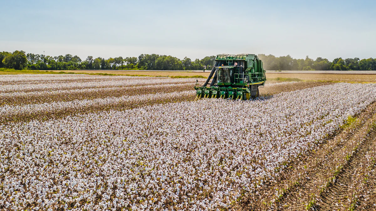 Understanding Organic Cotton