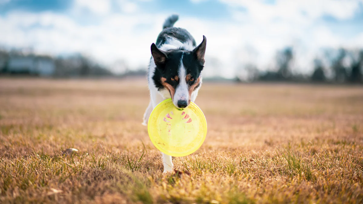 Top-Rated Outdoor Chew Toys for Dogs: Tested and Reviewed