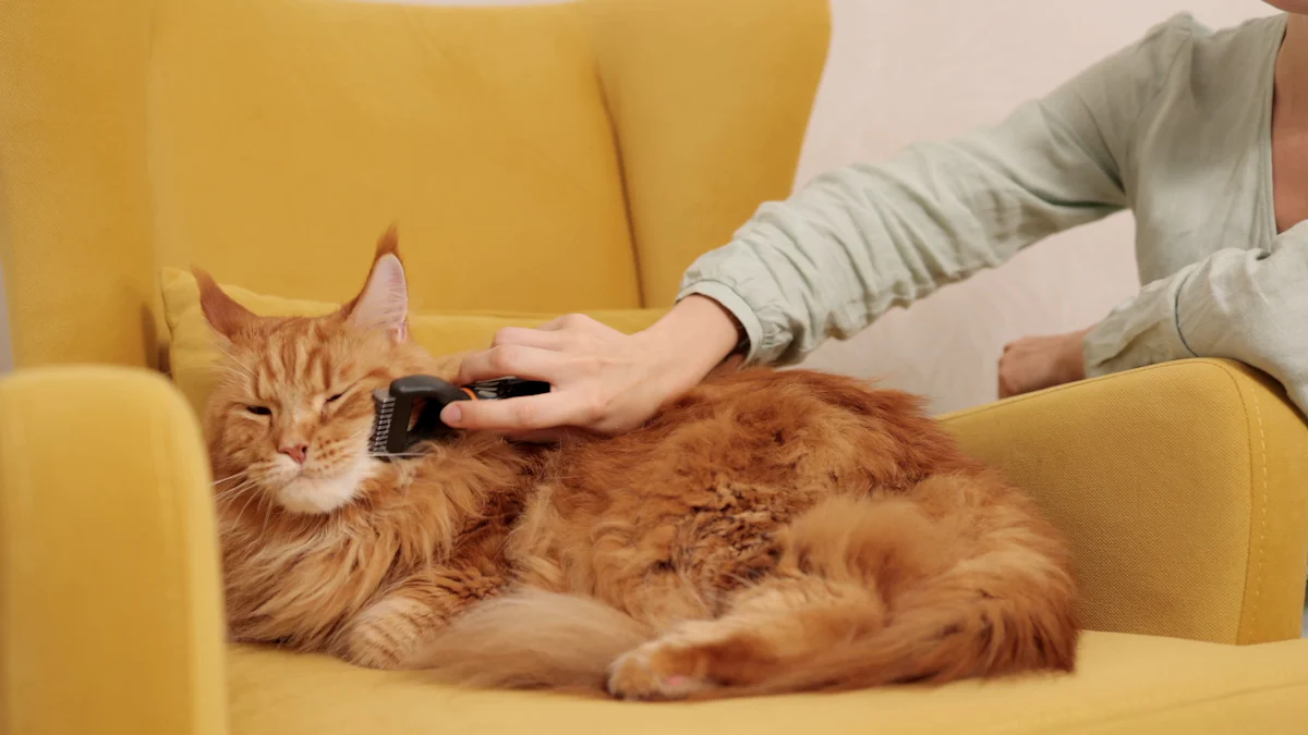 Recommended Cat Grooming Tools