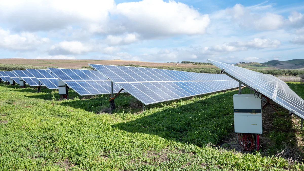 Implementing Sustainable Practices