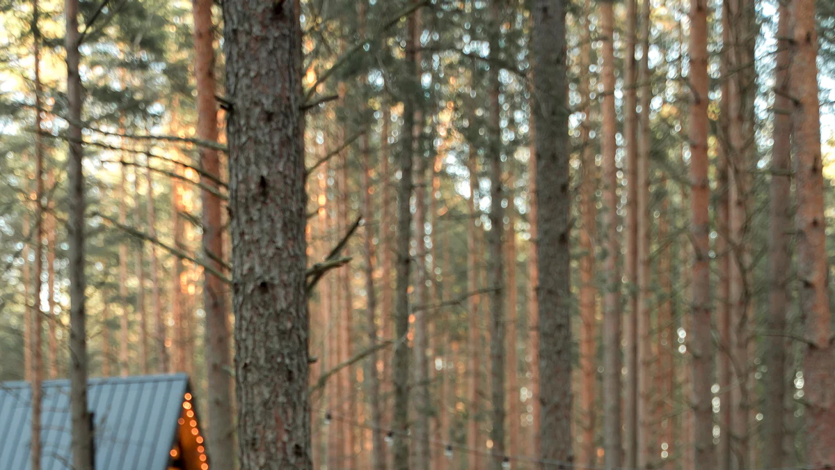 Yoga Coffs Harbour: Find Your Zen Today