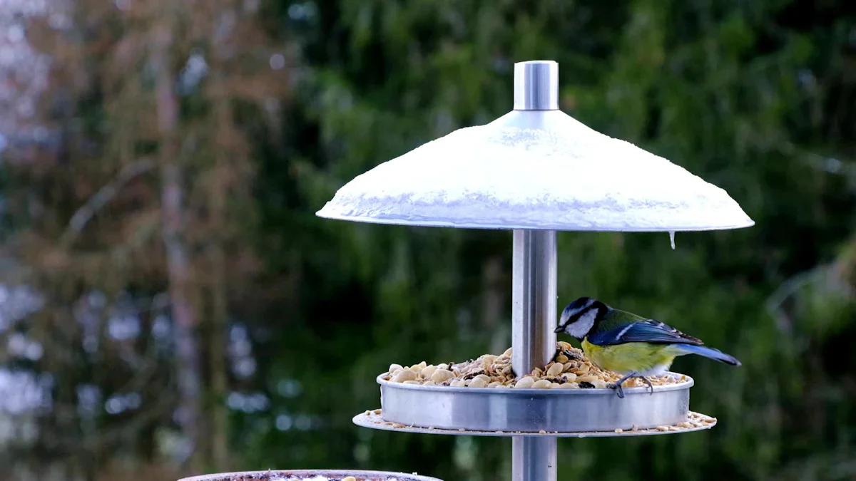 Types of Birds That Love Dried Mealworm For Bird